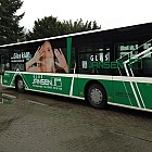 Bus 06